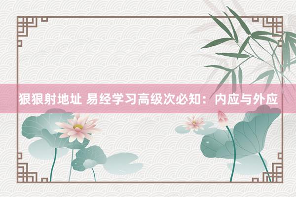 狠狠射地址 易经学习高级次必知：内应与外应