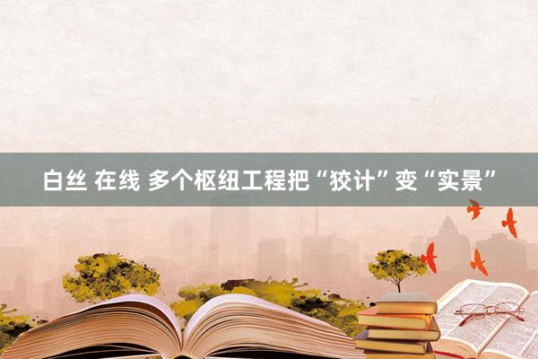 白丝 在线 多个枢纽工程把“狡计”变“实景”