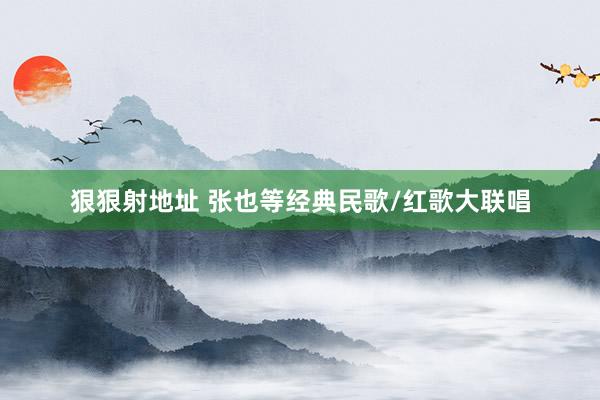 狠狠射地址 张也等经典民歌/红歌大联唱