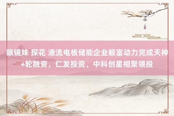 眼镜妹 探花 液流电板储能企业毅富动力完成天神+轮融资，仁发投资、中科创星相聚领投