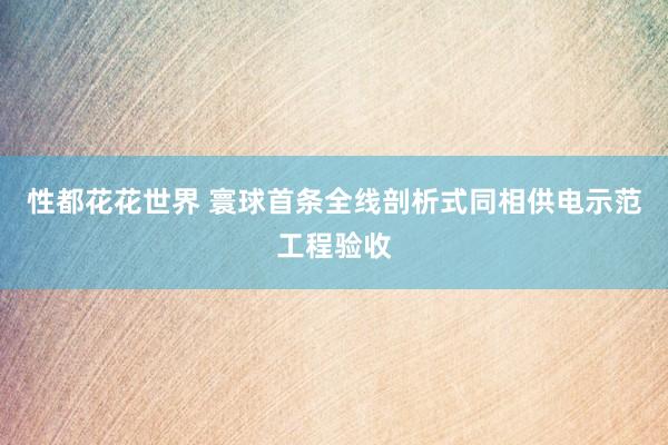性都花花世界 寰球首条全线剖析式同相供电示范工程验收