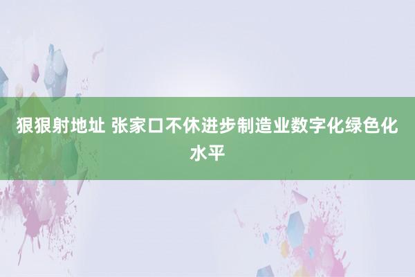 狠狠射地址 张家口不休进步制造业数字化绿色化水平