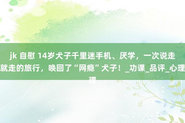 jk 自慰 14岁犬子千里迷手机、厌学，一次说走就走的旅行，唤回了“网瘾”犬子！_功课_品评_心理