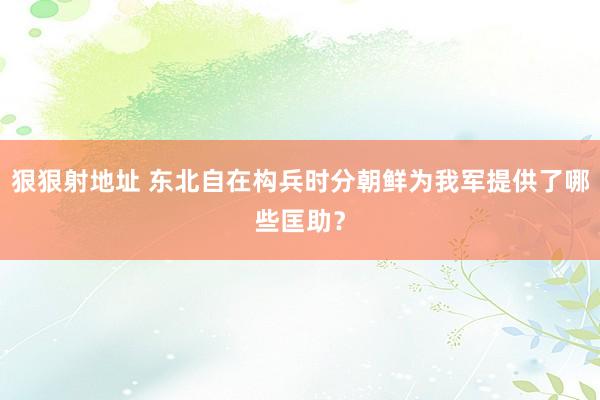 狠狠射地址 东北自在构兵时分朝鲜为我军提供了哪些匡助？