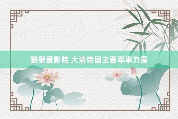狠狠爱影院 大清帝国主要军事力量