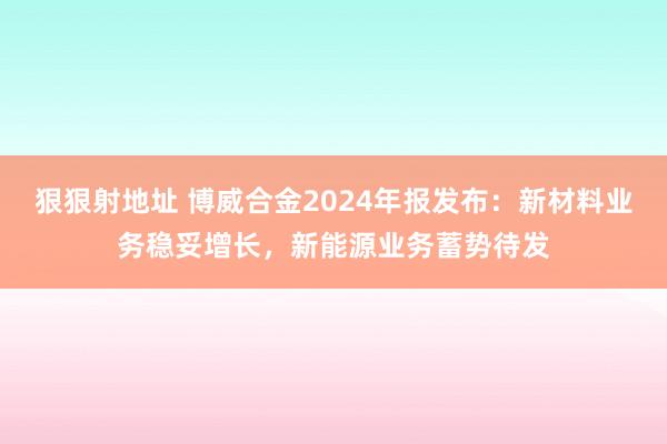 狠狠射地址 博威合金2024年报发布：新材料业务稳妥增长，新能源业务蓄势待发