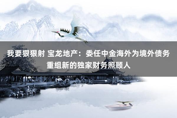 我要狠狠射 宝龙地产：委任中金海外为境外债务重组新的独家财务照顾人