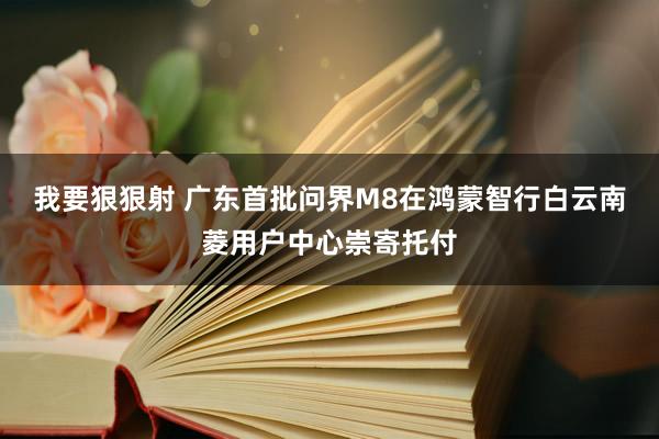 我要狠狠射 广东首批问界M8在鸿蒙智行白云南菱用户中心崇寄托付