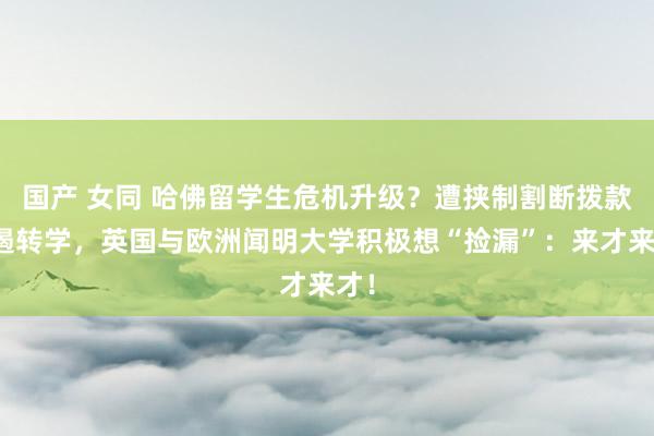 国产 女同 哈佛留学生危机升级？遭挟制割断拨款抑遏转学，英国与欧洲闻明大学积极想“捡漏”：来才来才！